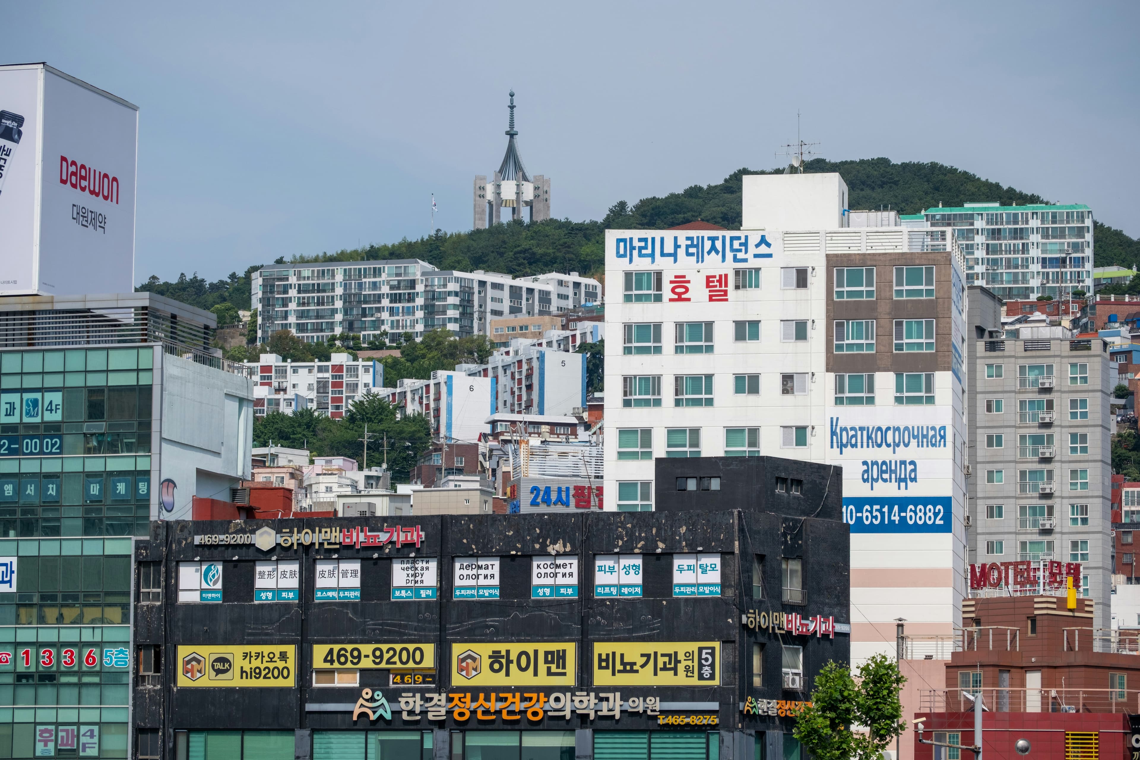 에스티팜과 경보 사업 확장... 한국의 고부가가치 API 제조 베팅을 읽다