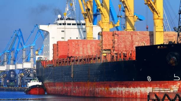 트럼프 대통령, 호르무즈 통행료 20% 삭감, 글로벌 격변 속 보기 드문 격차