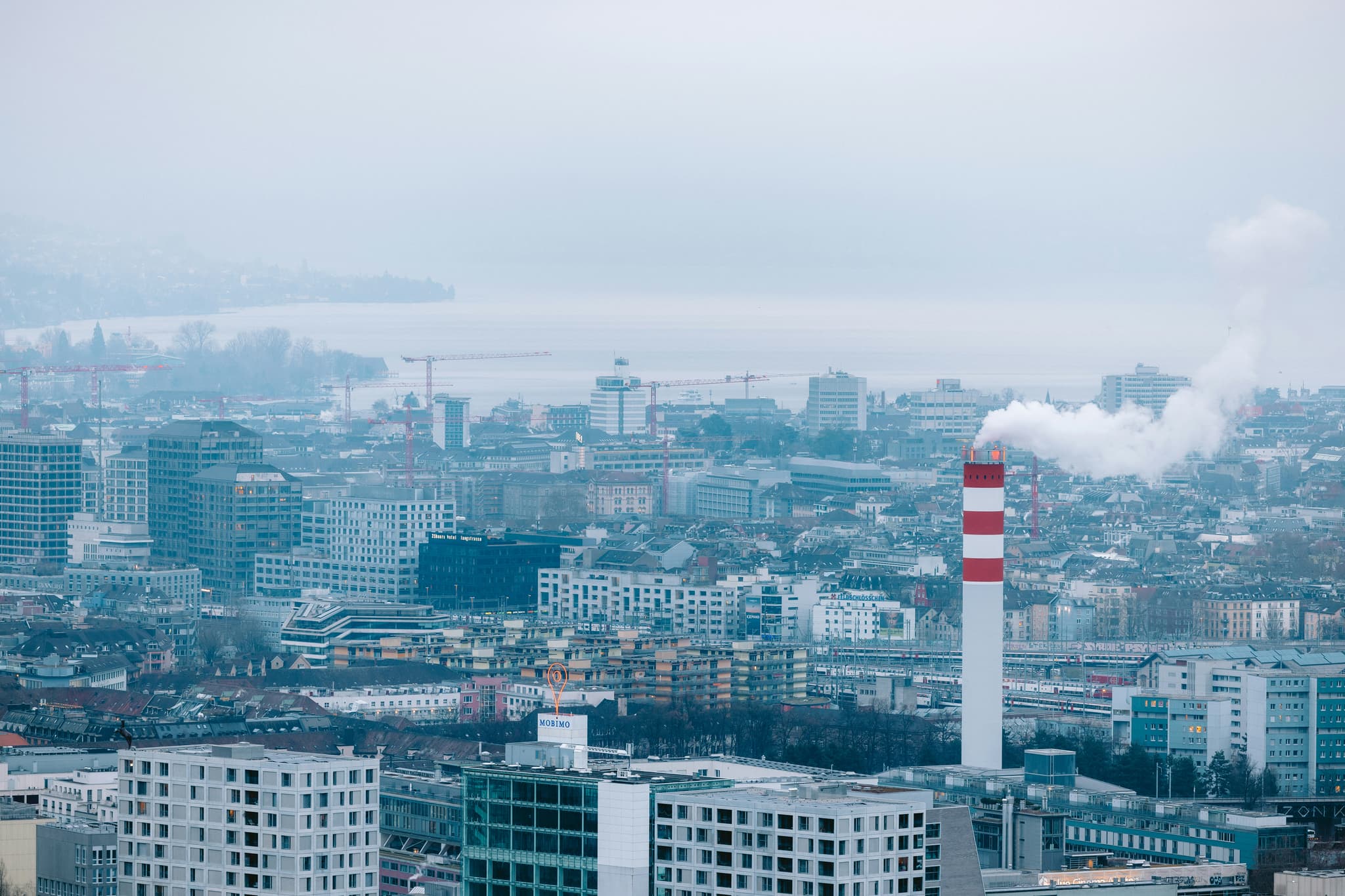EU Carbon Permits at a 23-Week High: A New Cost Layer for European Pharma Ingredient Producers
