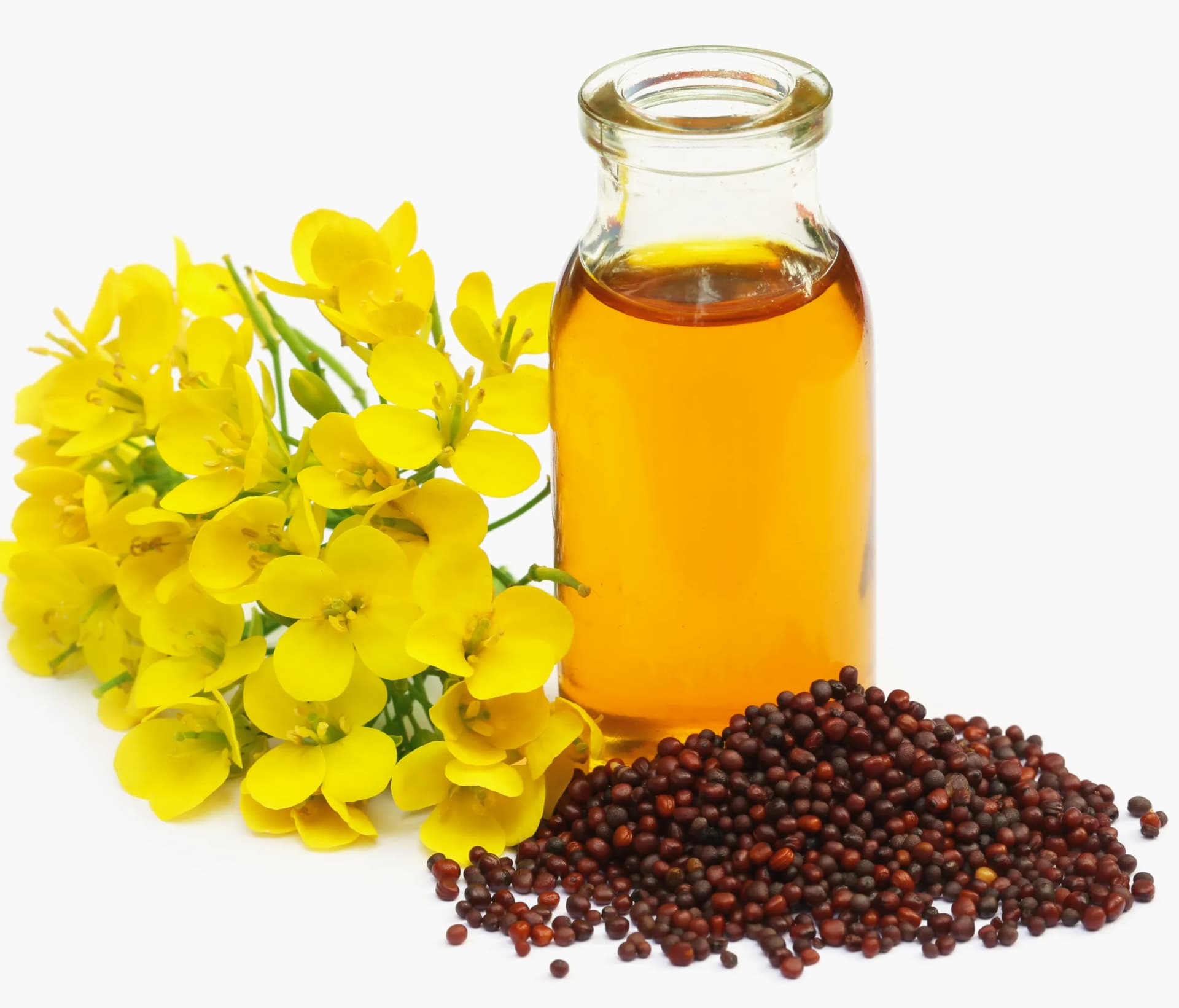 Crude Canola Oil