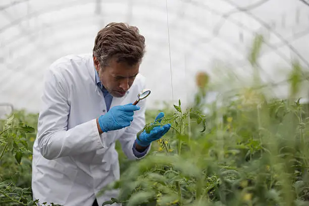 UN Fertilizer Food Security Update June 2026: Supply Risks Moderate